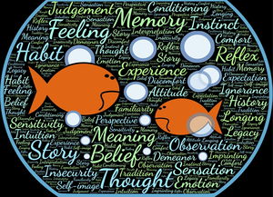 法甲实际战术板使用率与胜率关系初步调查，法国套战术板